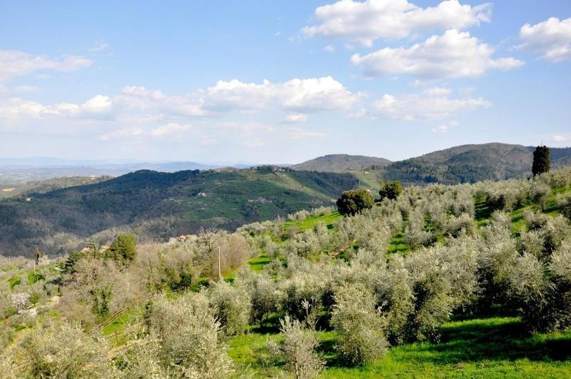 Agriturismo La Forra Cavriglia Habitación foto